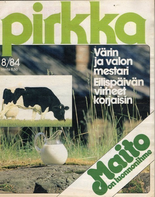 Pirkka n:o 8 1984 Rafael Wardi. Billnäsin teollisuusalue.