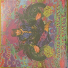 Little Steven born again savage 2x lp muoveissa musta vinyyl - pikkukuva 1