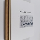 Bela Kolarova : Bela Kolarova ; Jiri kolar 1914-2002 - pikkukuva 1