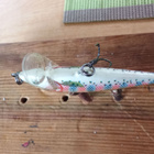 Rapala Countdown 6cm - pikkukuva 4