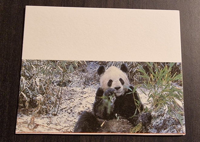 Panda, isopanda, eläinkortti, taittokortti, kulkenut postik.