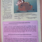 Aku Ankka # 49/1994 - pikkukuva 3