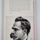 Friedrich Nietzsche : Hyvän ja pahan tuolla puolen - pikkukuva 2