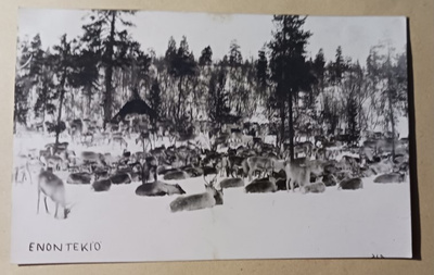 Enontekiö, kota ja runsasta poroeloa, vkpk, p. 1927