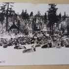 Enontekiö, kota ja runsasta poroeloa, vkpk, p. 1927 - pikkukuva 1