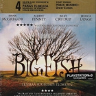 Big Fish - (Blu-ray) - pikkukuva 1