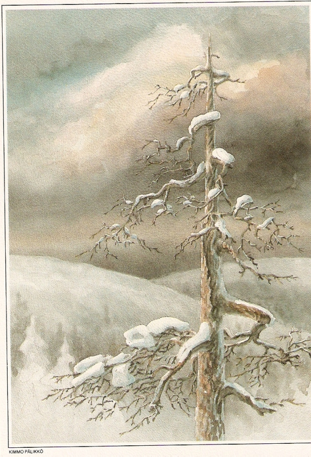 Pälikkö KP1199 :  PILVIEN VALO/KELO . ei kulk.