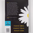 John Green : Alaskat otsides - pikkukuva 2