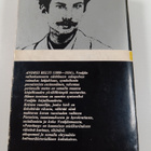 Andrej Belyj : Peterburg - pikkukuva 2