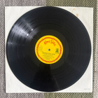 SHA NA NA: The Night Is Still Young (LP) 1972 - pikkukuva 3