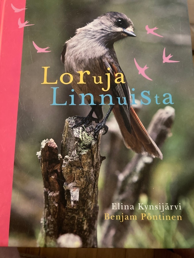 KYNSIJÄRVI - PÖNTINEN: LORUJA LINNUISTA
