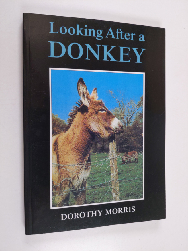 Dorothy Morris : Looking after a donkey