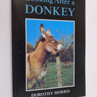 Dorothy Morris : Looking after a donkey - pikkukuva 1