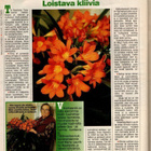Pirkka n:o 10 1995 Jari Lipponen. Maire Laurikka. Terttu. - pikkukuva 5