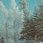POSTIKORTTI  Luonto, Suomi-lipputunnus - pikkukuva 1