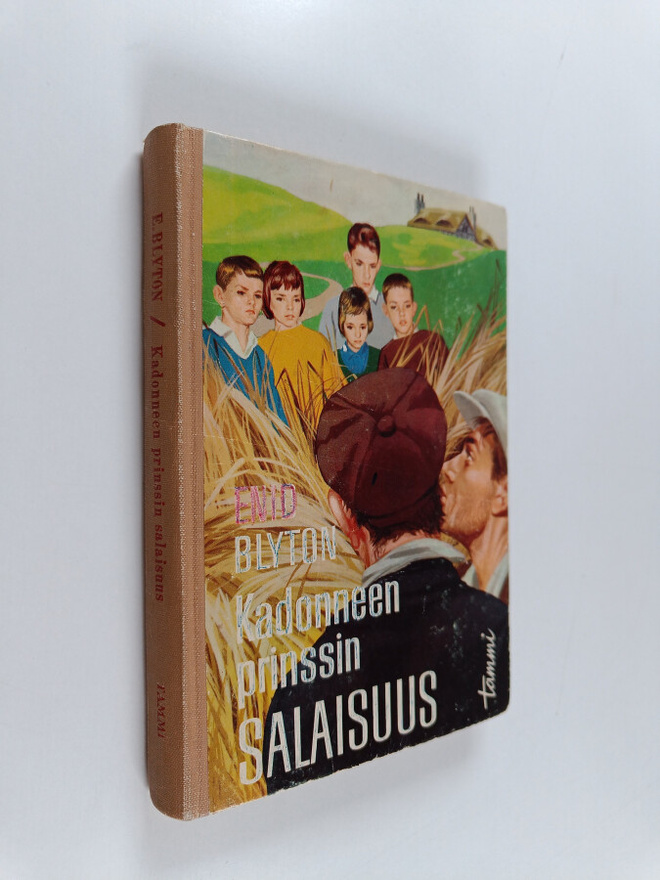 Enid Blyton : Kadonneen prinssin salaisuus