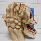 SKULL BRAIN TUIKKU 16CM	(6 562)	(dod-339) polyresin - pikkukuva 4