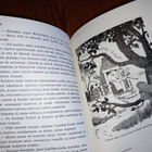 Tule takaisin, Menninkäinen! – Kerttu-Kaarina Suosalmi - pikkukuva 5