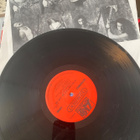 Ted Nugent: If You Can’t Lick ’Em, Lick ’em 1988 LP - pikkukuva 5