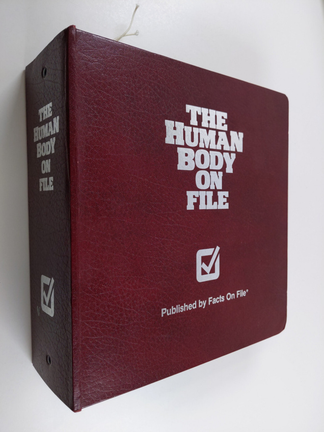 Diagram Group : The Human Body on File