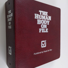Diagram Group : The Human Body on File - pikkukuva 1