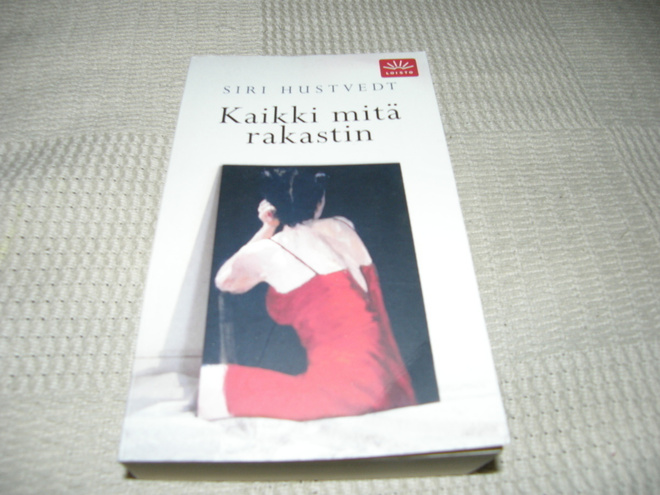 Siri Hustvedt Kaikki mitä rakastin     -pok