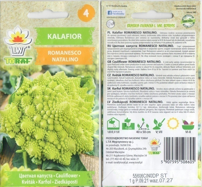 Kukkakaali 'Romanesco Natalino' siemenet #