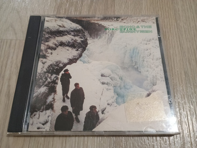 Echo & The Bunnymen – Porcupine (CD)