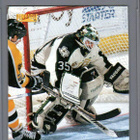 1996-97 Pinnacle - Premium Stock - 0,20 € / kpl - pikkukuva 4