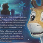 DVD: Niko - lentäjän poika - pikkukuva 3