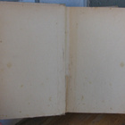 Gabriel Ferry: Metsäsissi. Kirja 1918. 2p. 496 s. - pikkukuva 4