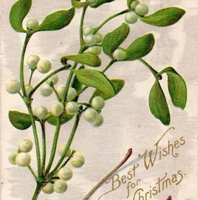 ANTIIKKIKORTTI / Viehättävät mistelin oksat. 1900-l.