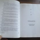 Vellamo Paananen: SÄVELTEN MAILTA  ( vesanto ) - pikkukuva 3