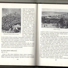 T. P. Virkkunen. Keskikoulun uskontokirja 1960 - pikkukuva 4