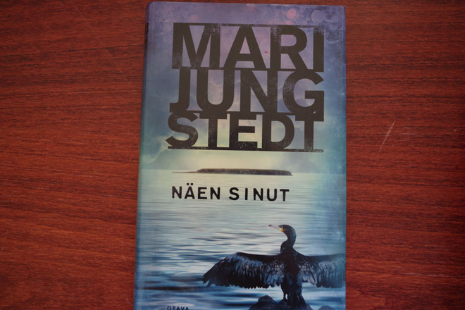 Mari Jungstedt: Näen sinut (2019)