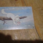 Aristocats Keräilykuva n:o 66 - pikkukuva 1