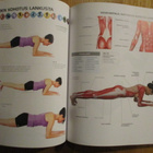KUNTOSALI : ANATOMIA Hollis Lance Liebman readme 2018 * kult - pikkukuva 4