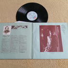 THE ALAN PARSONS PROJECT - Tales Of Mystery LP - pikkukuva 2