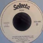 REXI  ::  HAAVEILLA SUA KOSKETIN  ::  VINYYLI  7"   1990 - pikkukuva 2