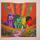The Beatles Psychedelic Beatles LP Väri vinyyli - pikkukuva 3