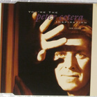 Peter Cetera • You're The Inspiration (New  Version) CDM - pikkukuva 1