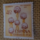 Fernando Poo 1967: kukkia - pikkukuva 3