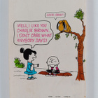 Charles M. Schulz : We're on Your Side, Charlie Brown! - pikkukuva 2