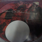 CHILDREN OF BODOM - BLOODDRUNK UUSI KUVALEVY 12'' SINGLE (+) - pikkukuva 2