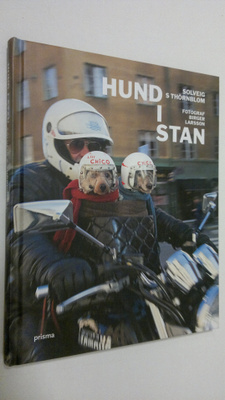 Solveig S. Thörnblom : Hund i Stan