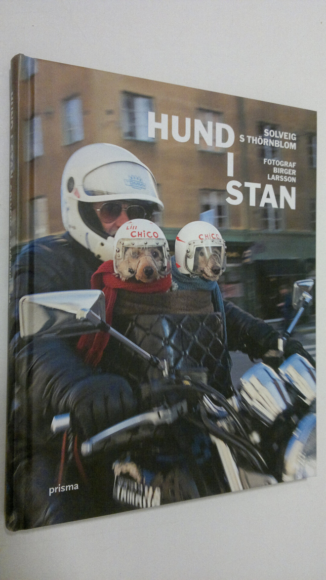 Solveig S. Thörnblom : Hund i Stan
