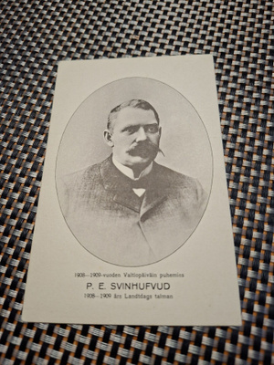 Z11 P.E.Svinhufud