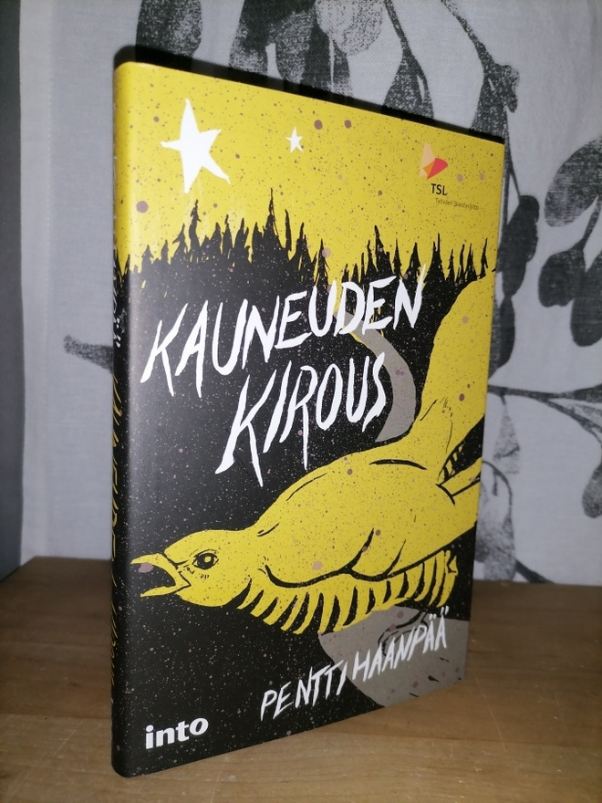 Pentti Haanpää - Kauneuden kirous - 1.p.Uusi