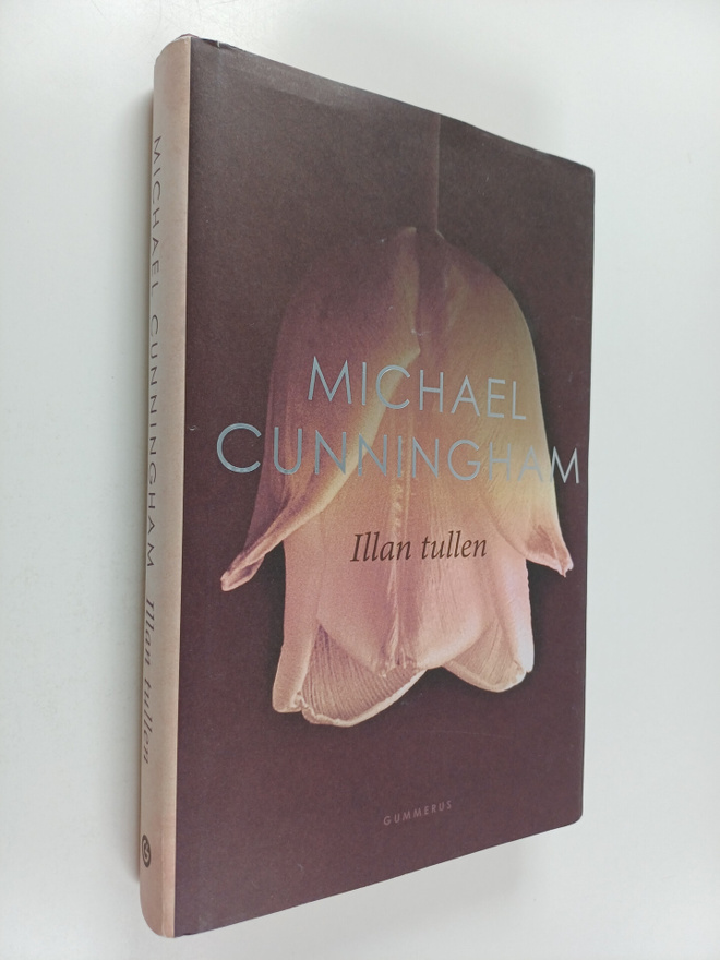 Michael Cunningham : Illan tullen