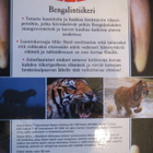 Bengalintiikeri DVD - pikkukuva 3
